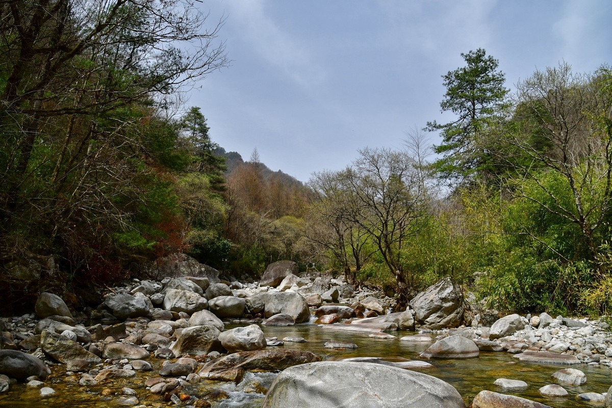 秦岭龙吟溪（上）