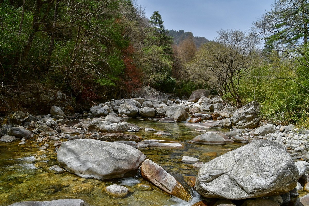 秦岭龙吟溪（上）