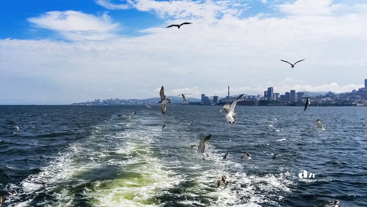 海参崴——艇上拍（7）