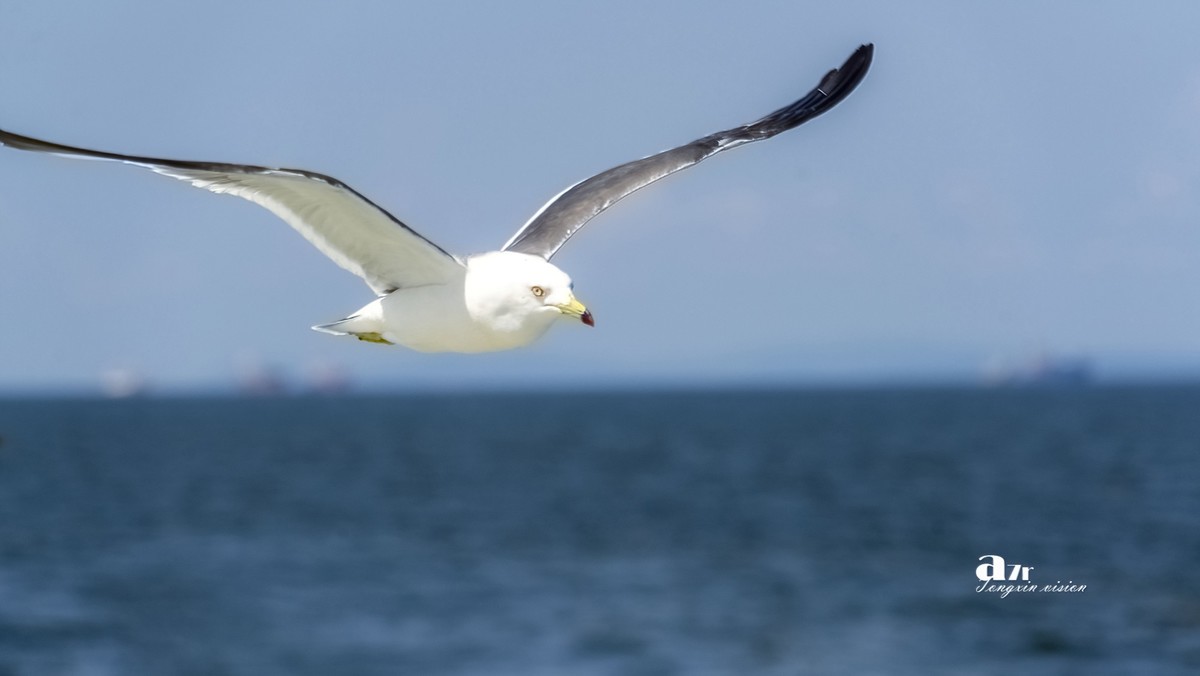 海参崴——艇上拍（7）