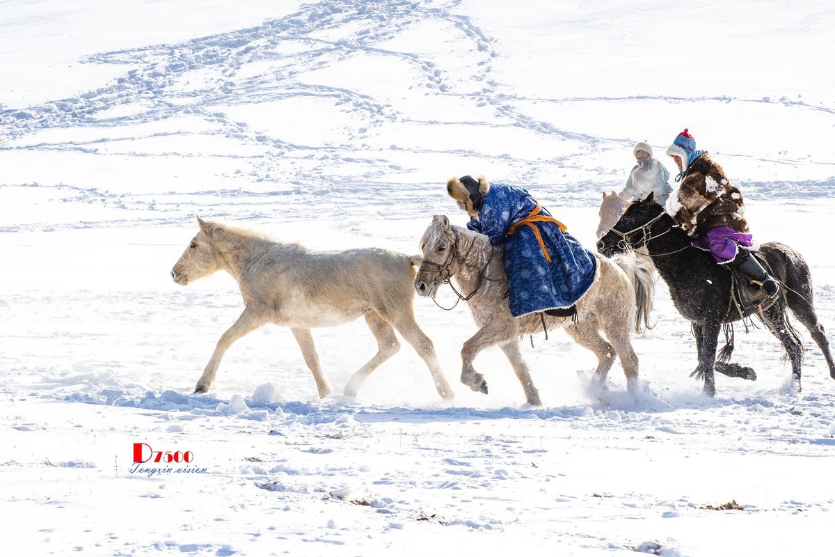 强健&靓丽的牧马人（46）