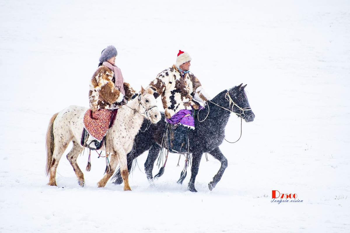 强健&靓丽的牧马人（46）
