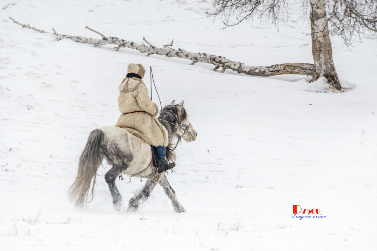 强健&靓丽的牧马人（46）