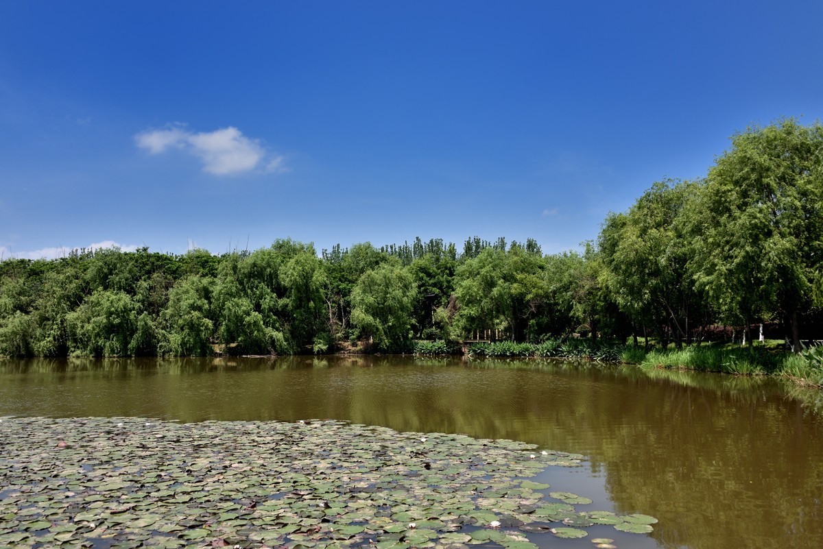 邛海国家湿地公园——烟雨鹭洲【上】