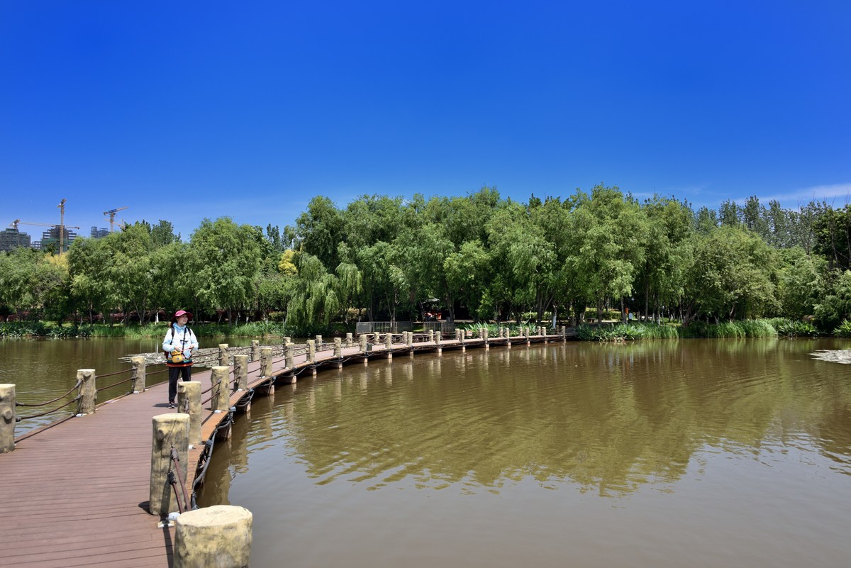 邛海国家湿地公园——烟雨鹭洲【上】
