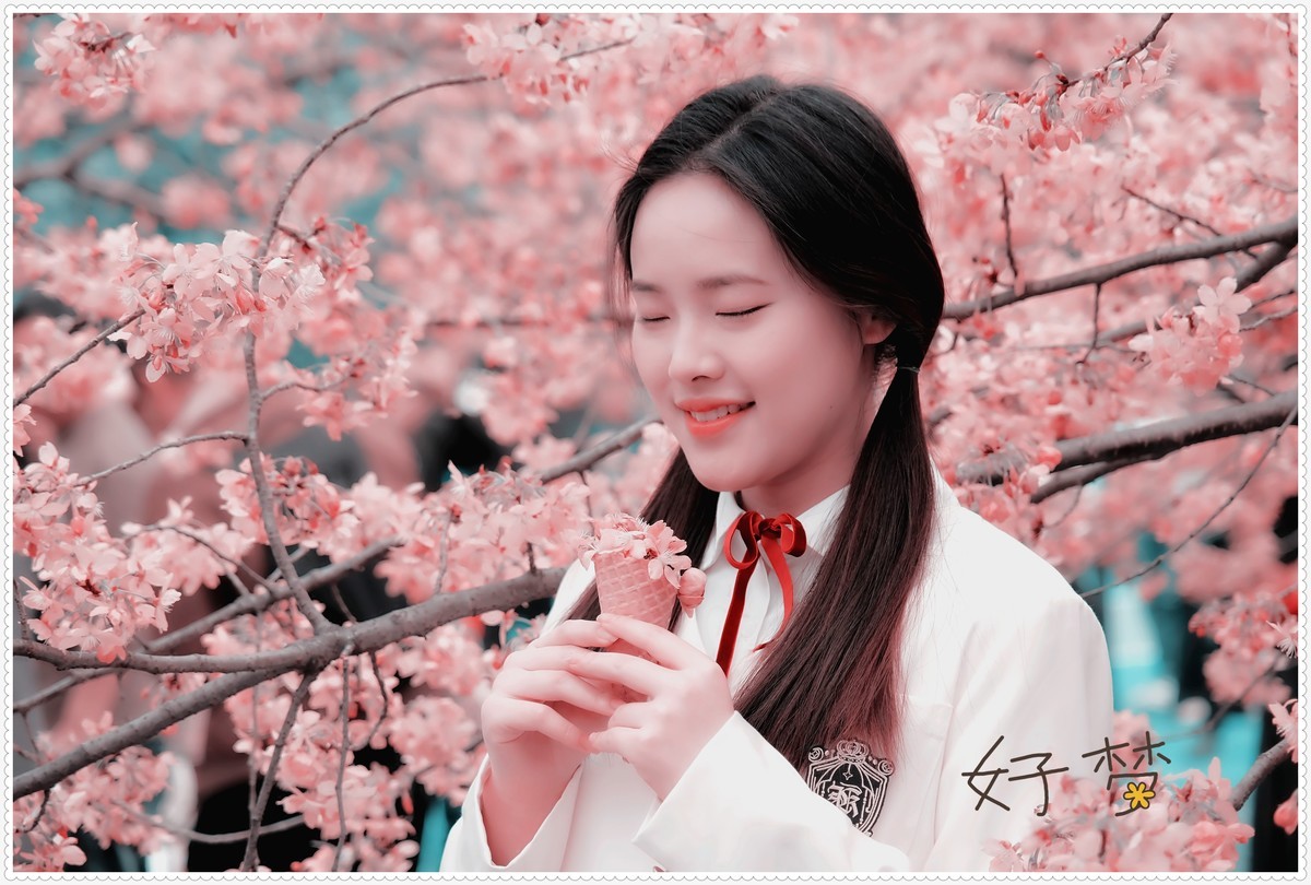 与春天最浪漫的樱花一场约会