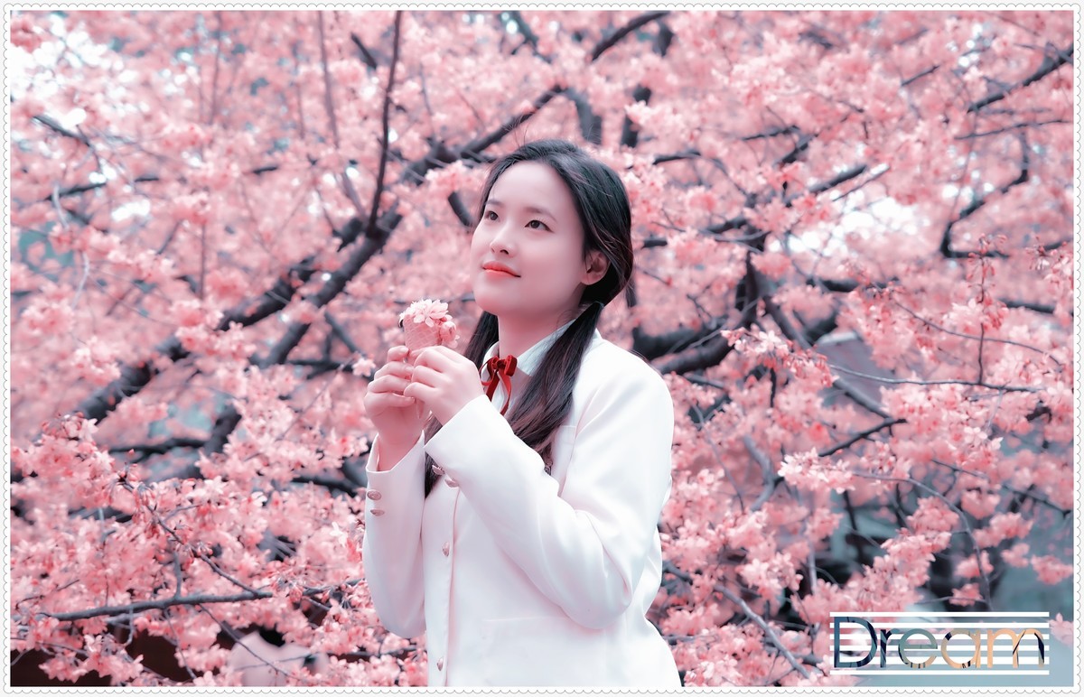 与春天最浪漫的樱花一场约会