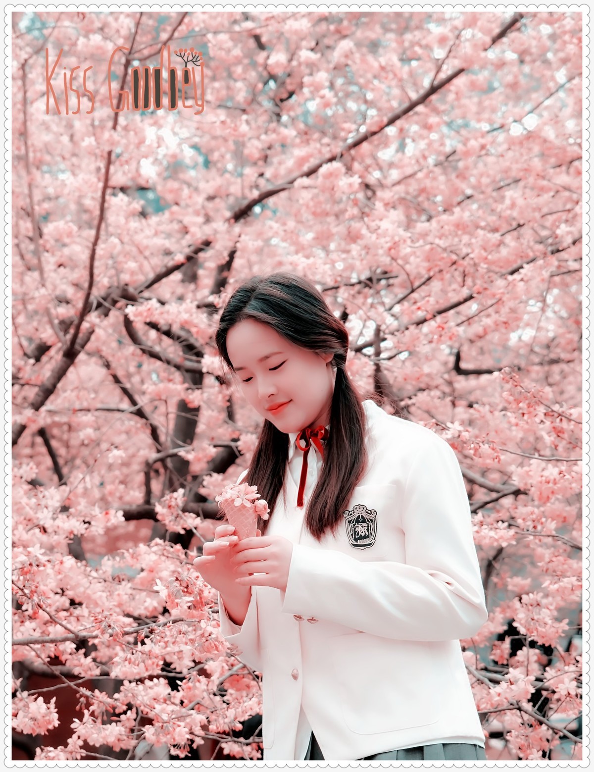 与春天最浪漫的樱花一场约会