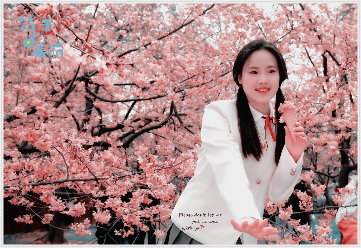 与春天最浪漫的樱花一场约会