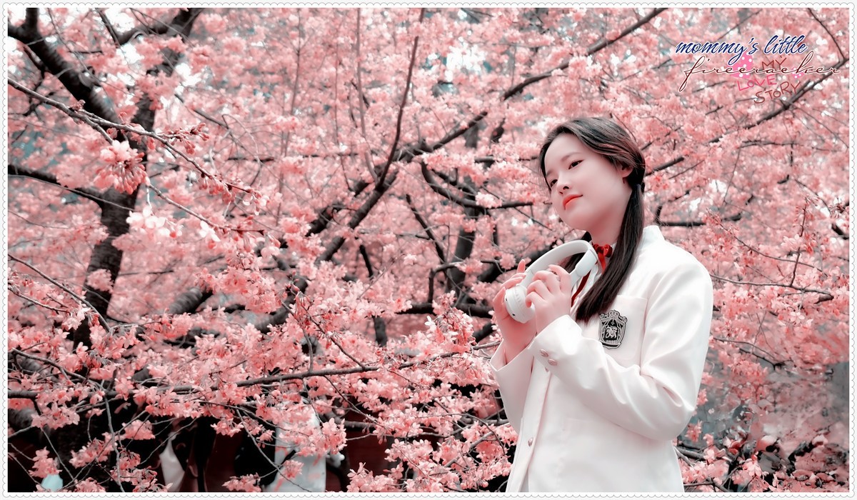 与春天最浪漫的樱花一场约会