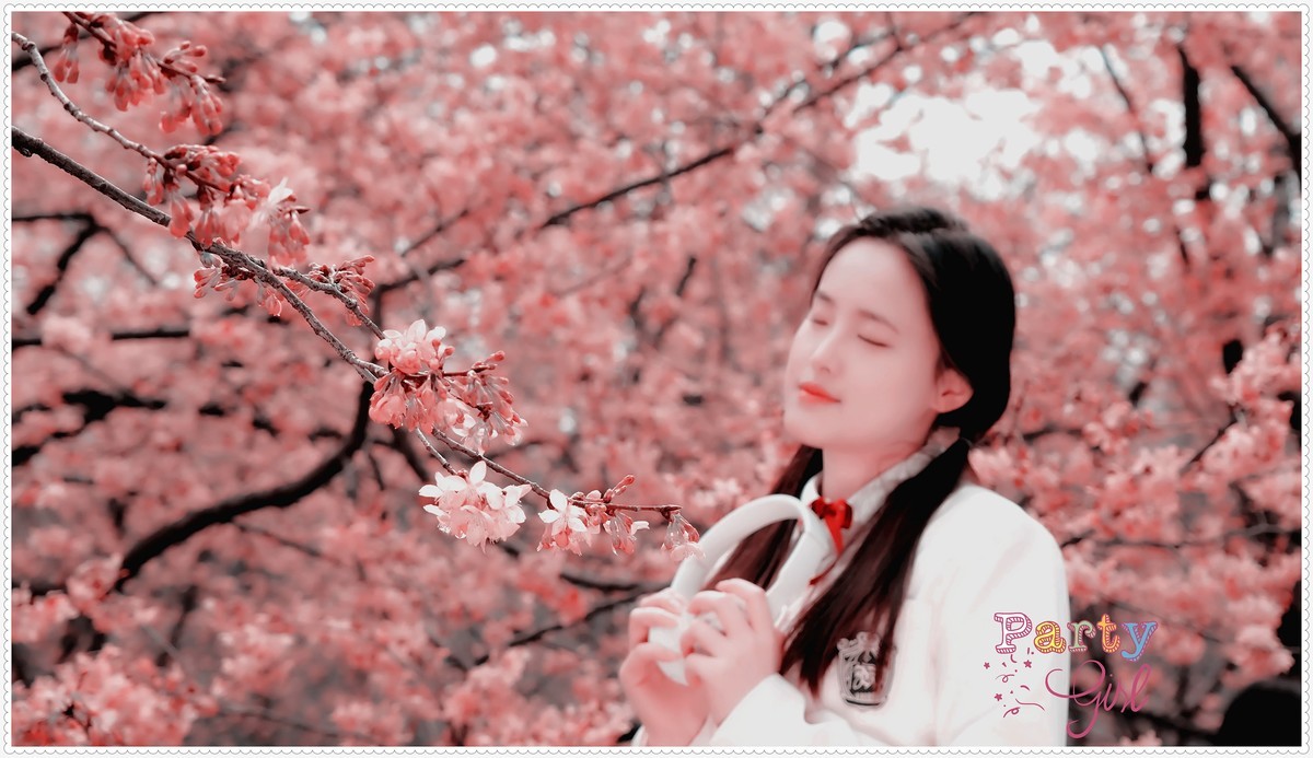 与春天最浪漫的樱花一场约会