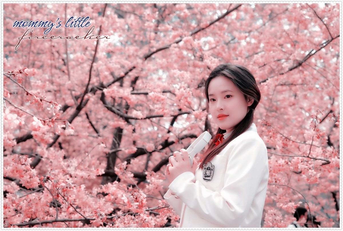 与春天最浪漫的樱花一场约会