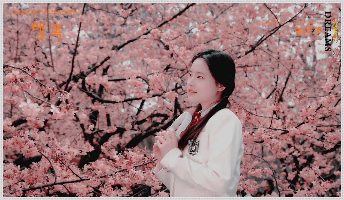 与春天最浪漫的樱花一场约会