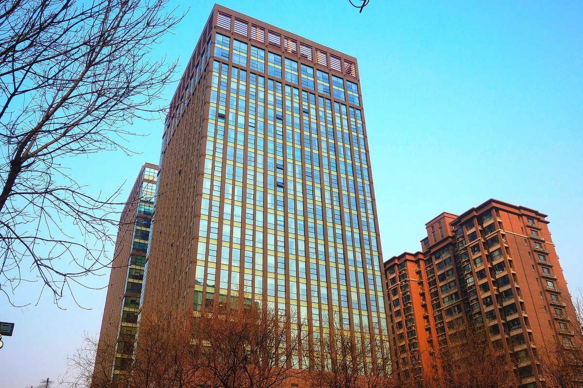 初春·石家庄街景2