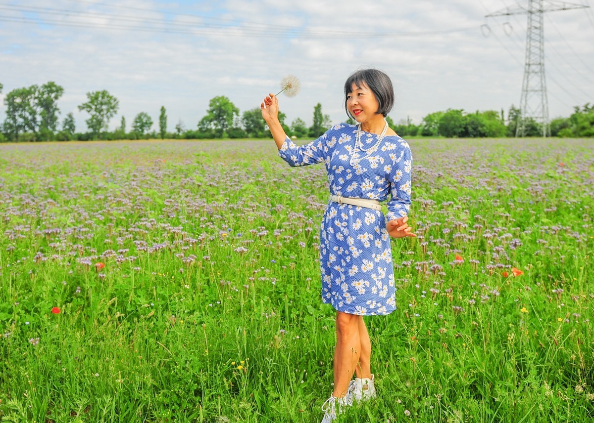 田间花色