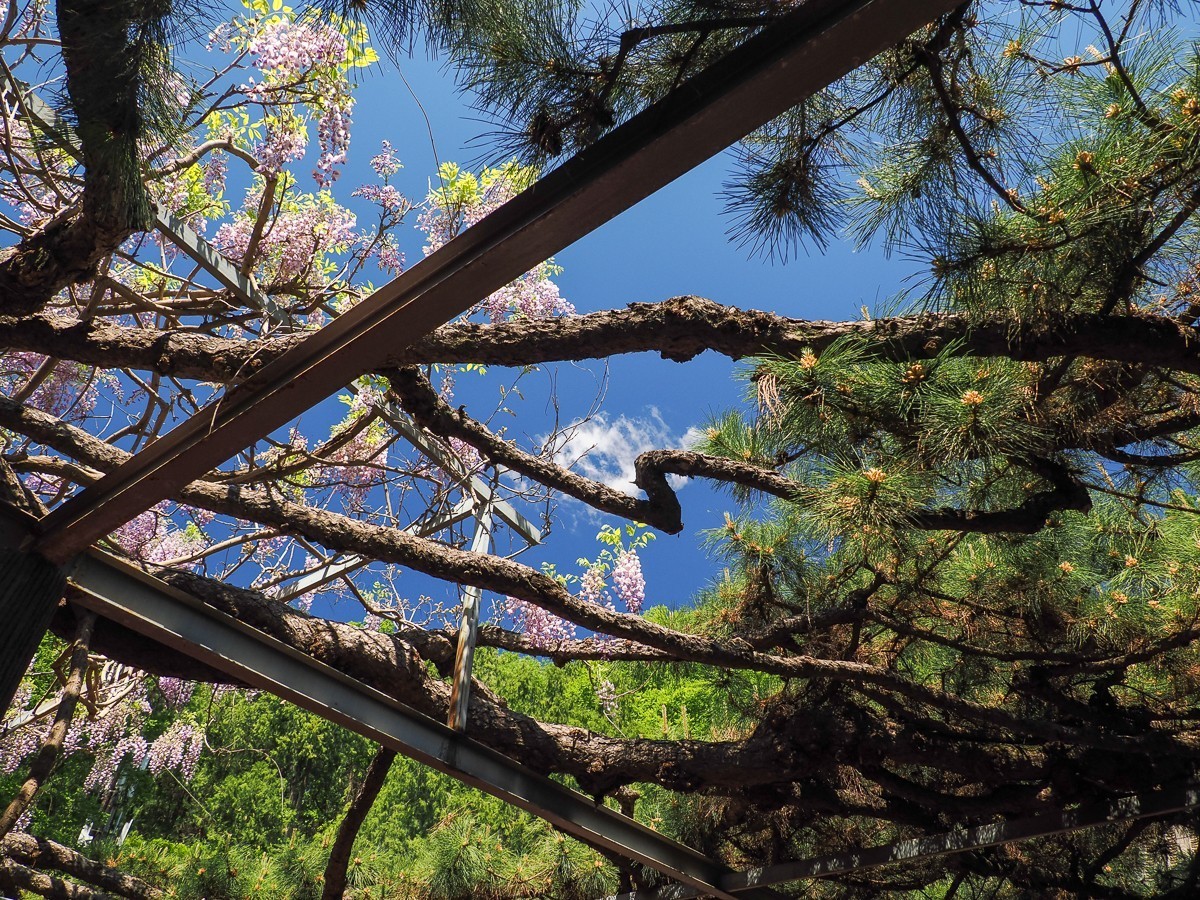 京北名刹红螺寺