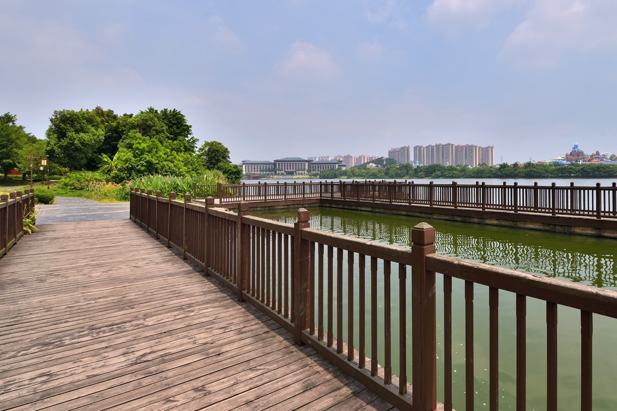 玉林公园湖岸随拍7