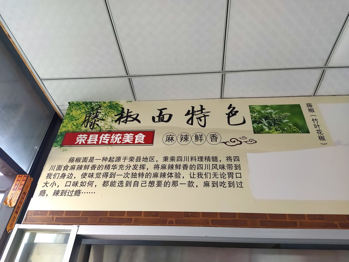 2023夏 黔赣鄂渝川（64）自贡