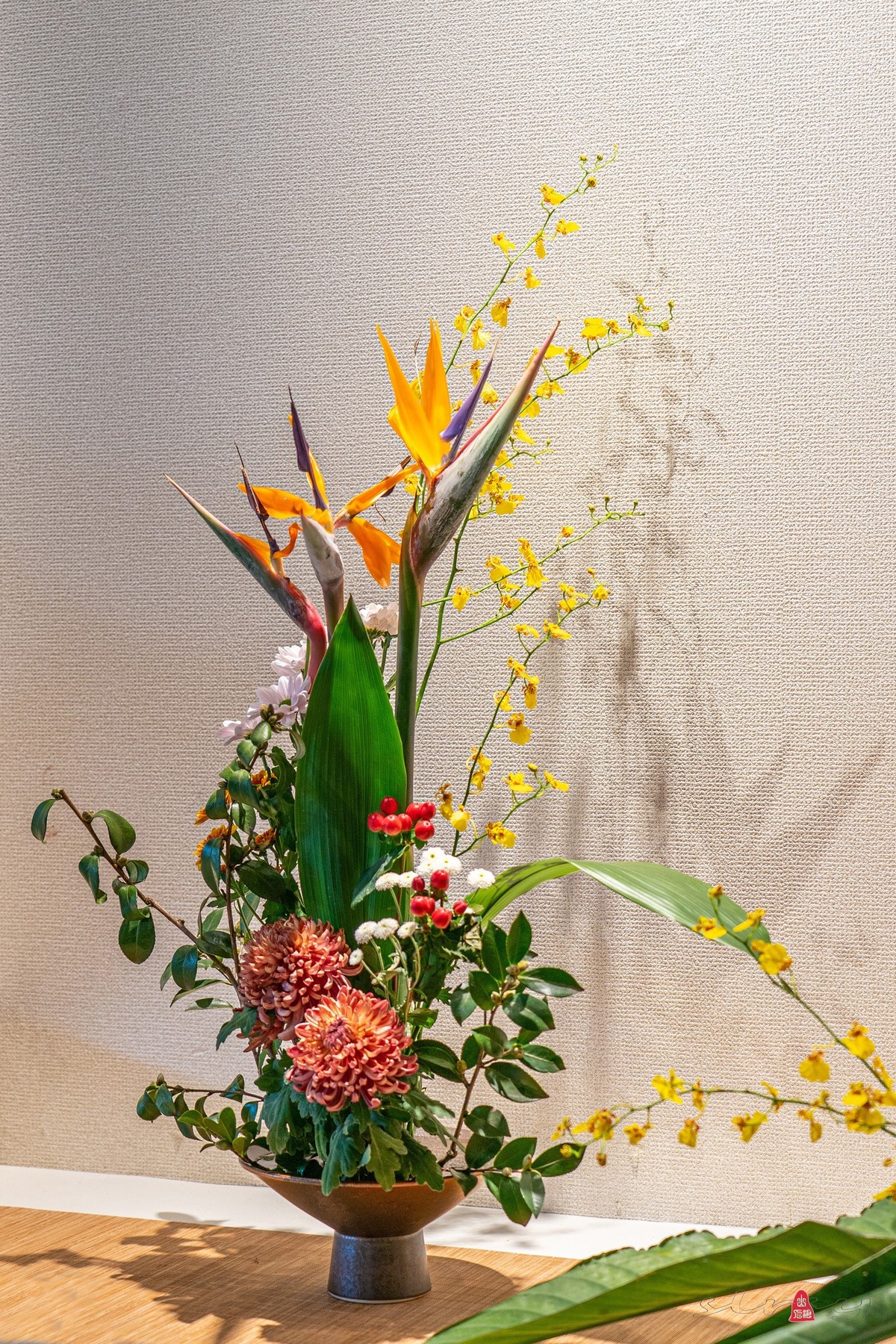 狮林菊展(二)插花-中关村在线摄影论坛