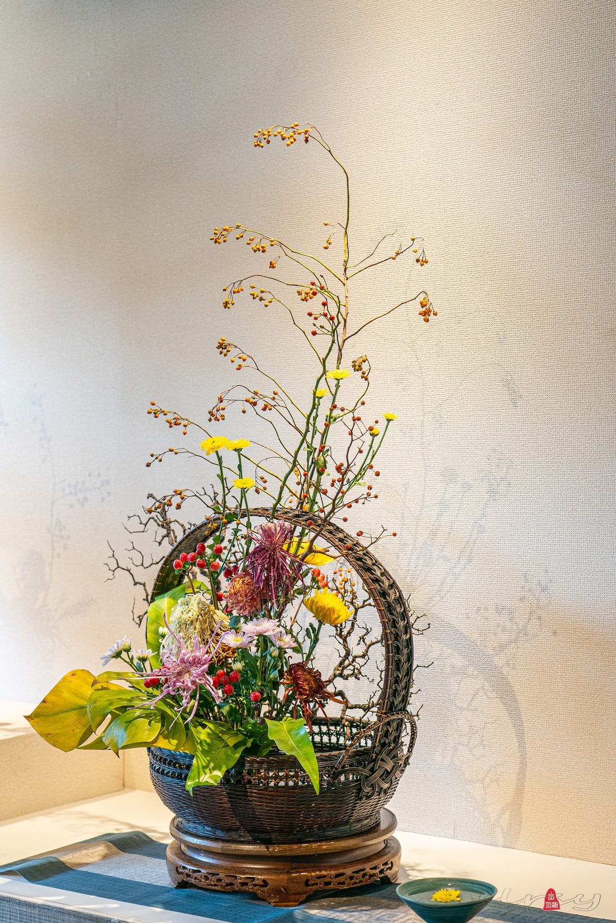 狮林菊展(二)插花-中关村在线摄影论坛