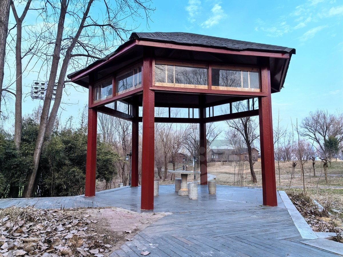 林中木屋*汉口江滩——武汉随笔