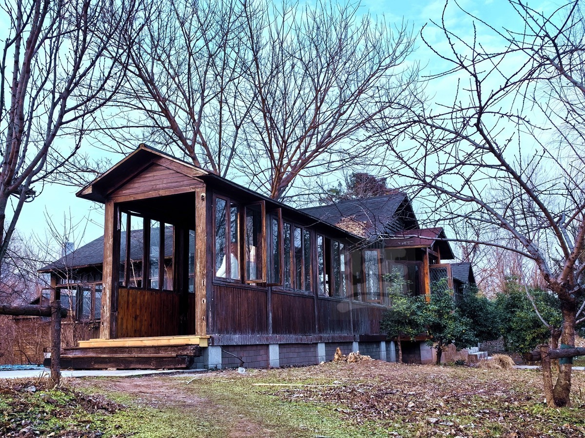 林中木屋*汉口江滩——武汉随笔