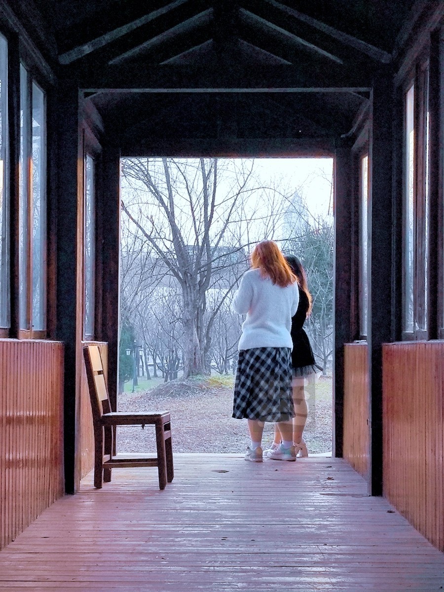 林中木屋*汉口江滩——武汉随笔