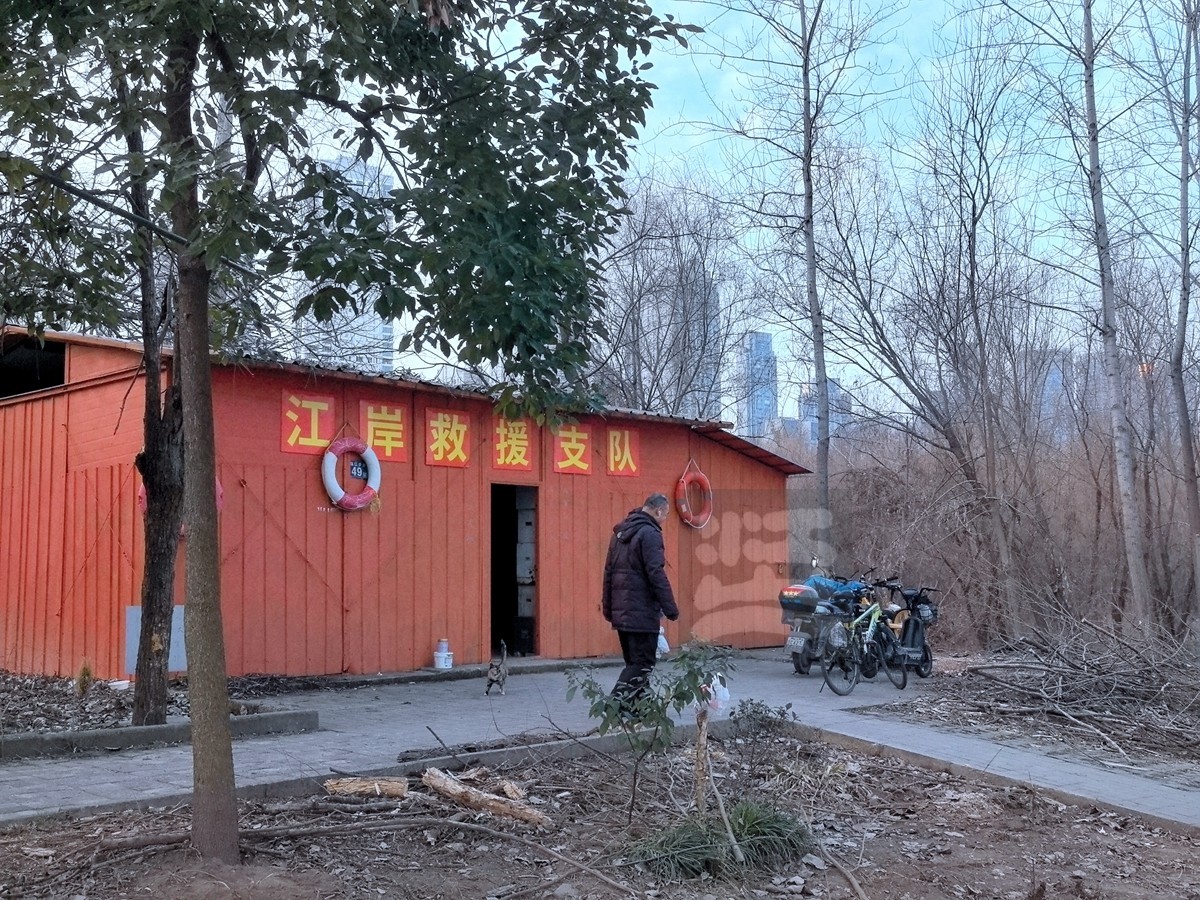 林中木屋*汉口江滩——武汉随笔