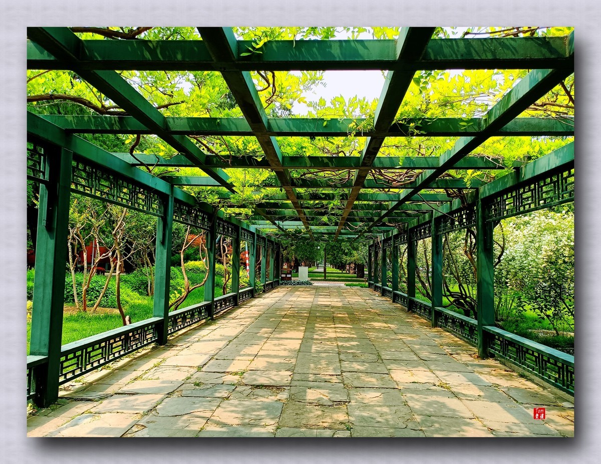 静谧怡然之所 劳动人民文化馆 （手机版）