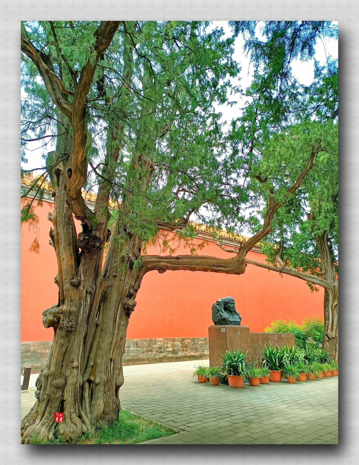 静谧怡然之所 劳动人民文化馆 （手机版）