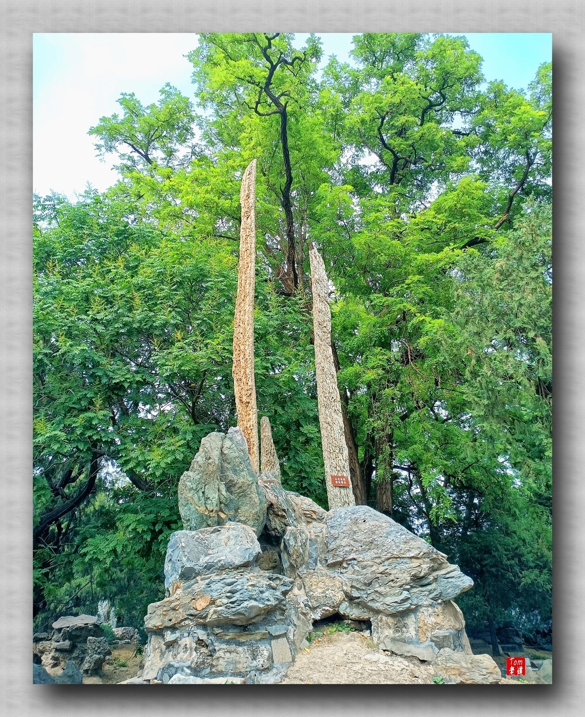 静谧怡然之所 劳动人民文化馆 （手机版）