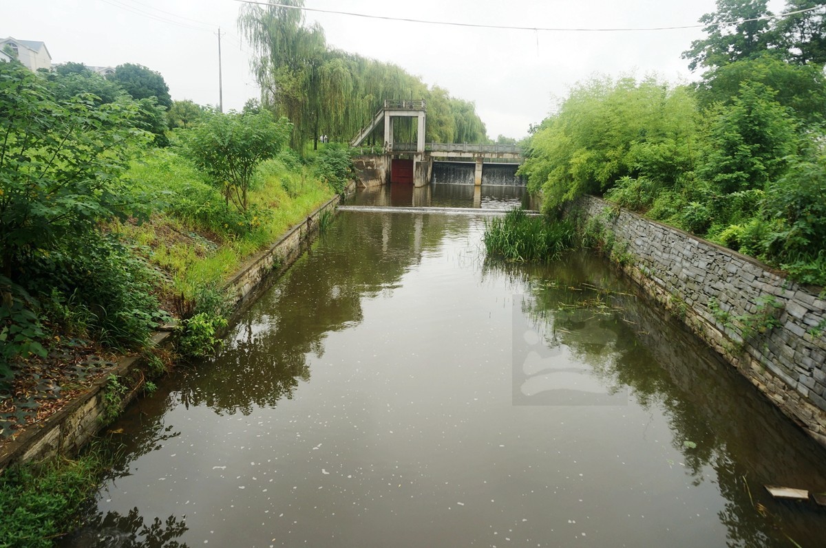 花朝河湾*新洲——武汉随笔