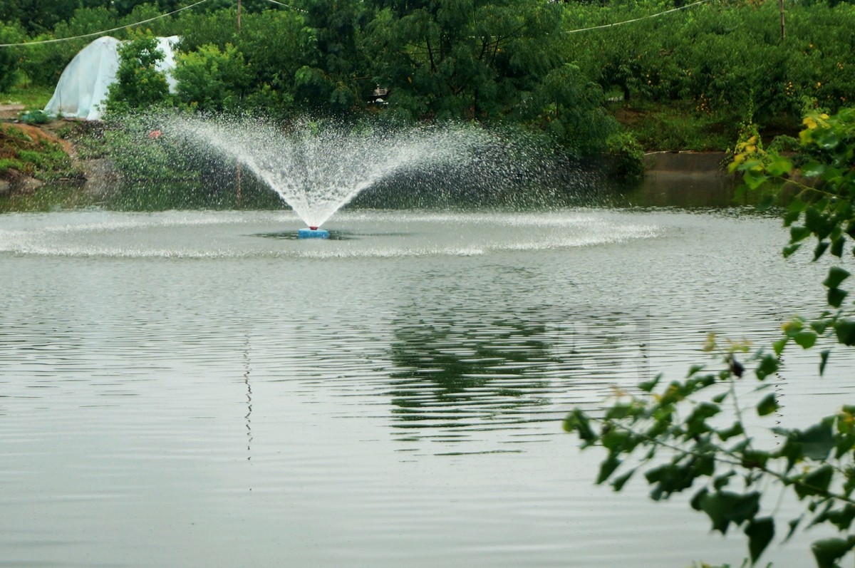 花朝河湾*新洲——武汉随笔