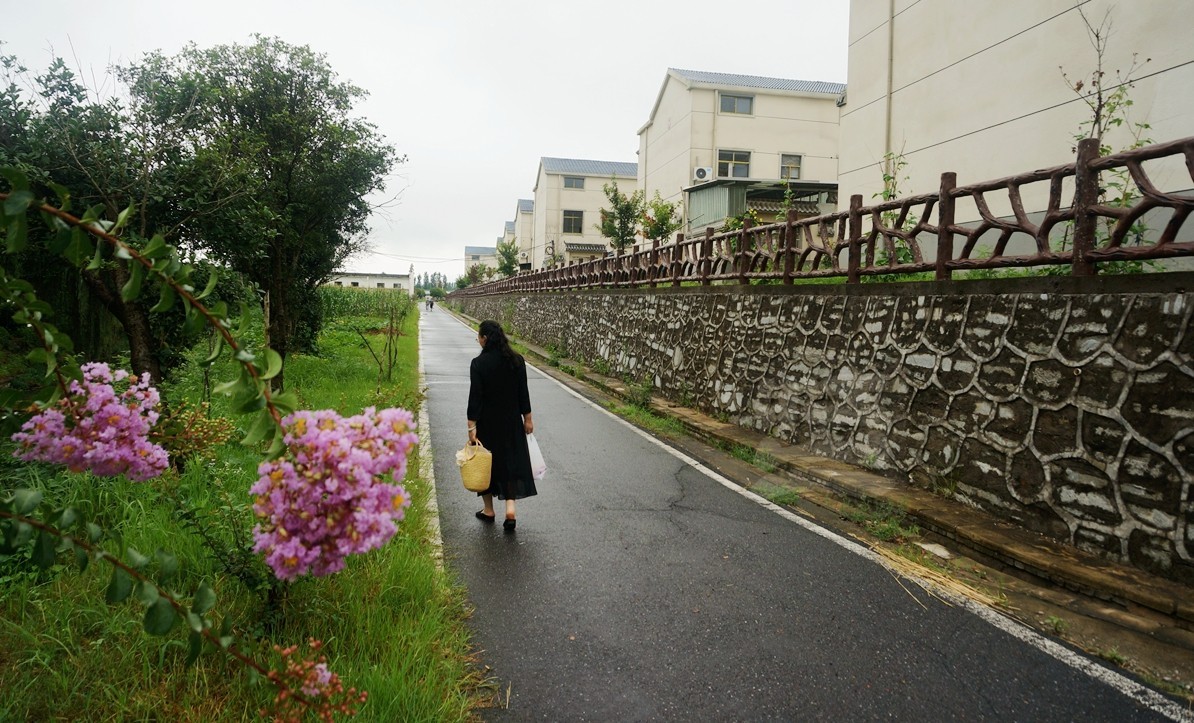 花朝河湾*新洲——武汉随笔