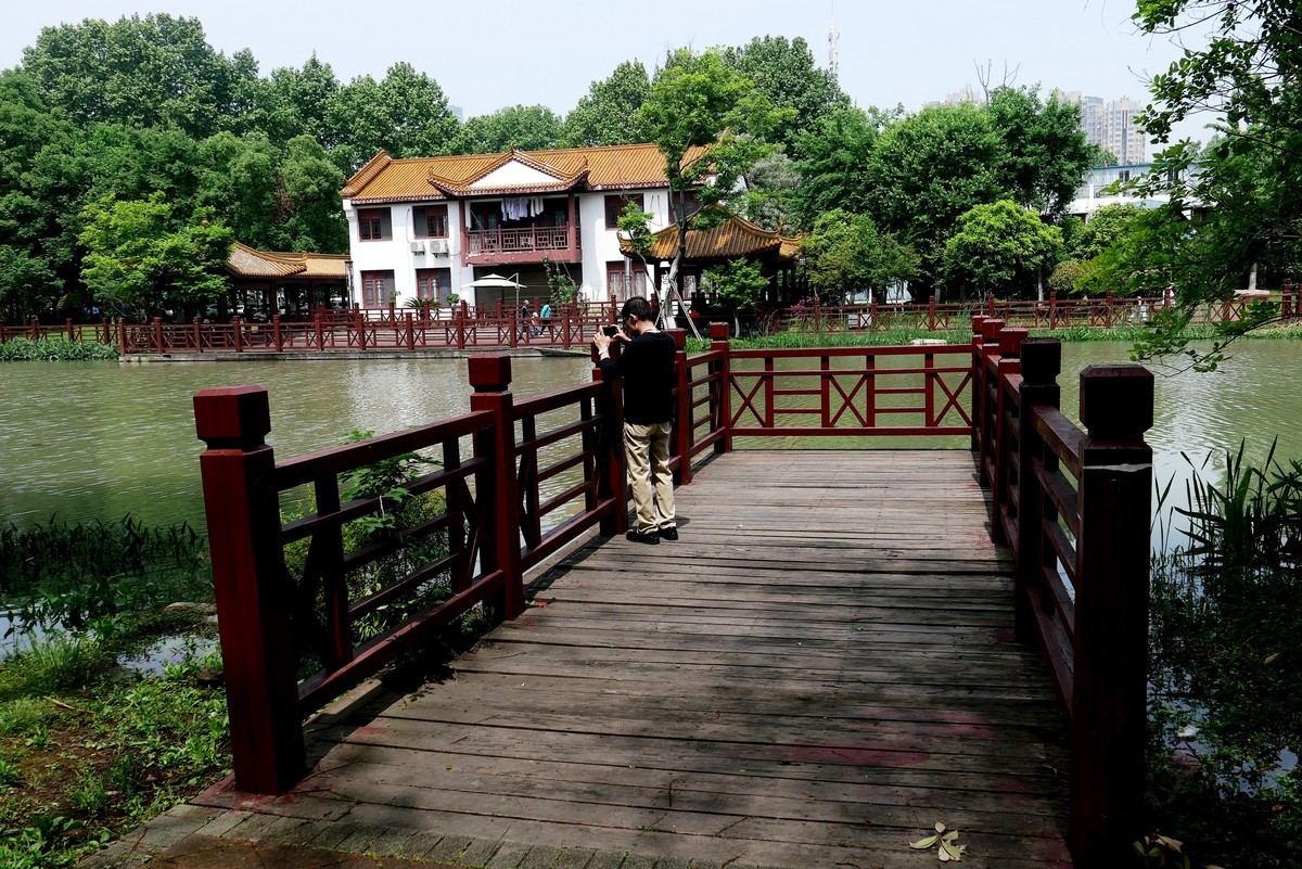 武汉映像---青山公园好风光！