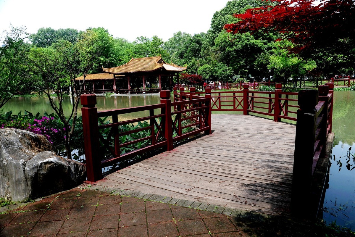 武汉映像---青山公园好风光！