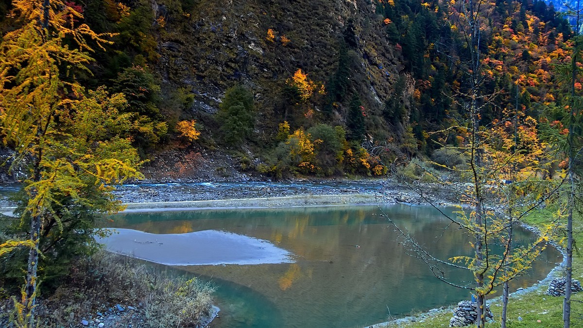 川西黑水 · 奶子沟彩林