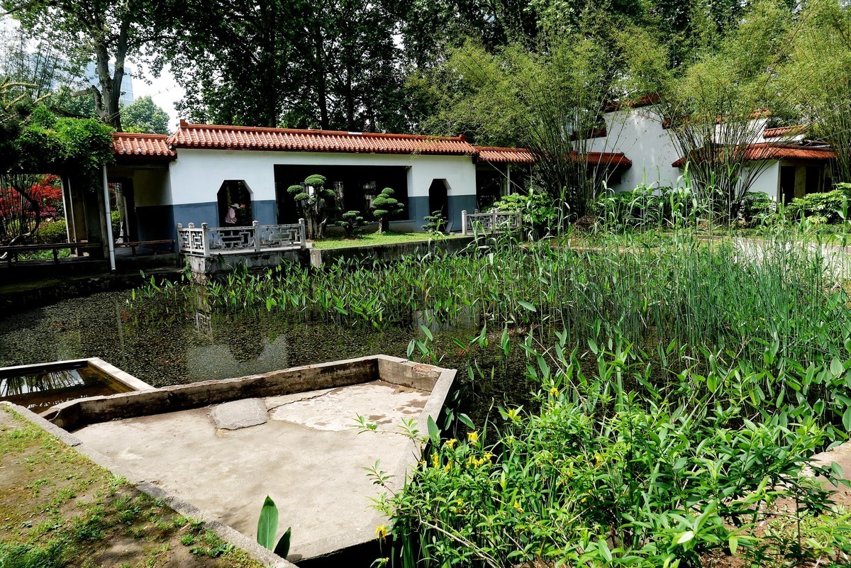 武汉映像---青山公园好风光！