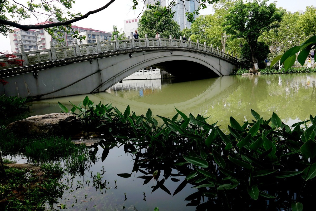 武汉映像---青山公园好风光！