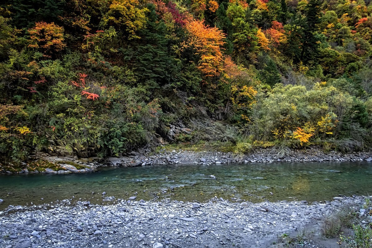 川西黑水 · 奶子沟彩林