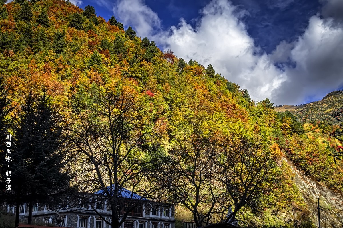 川西黑水 · 奶子沟彩林