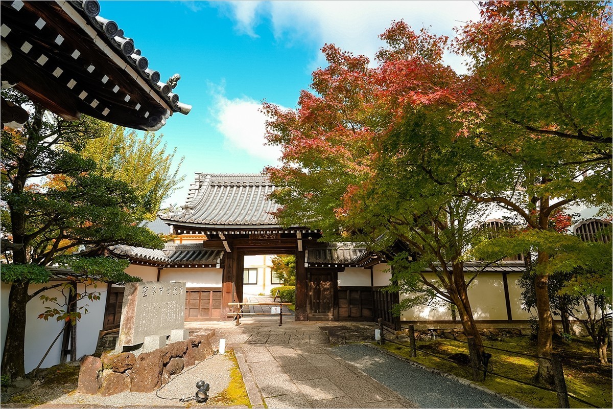 2024年第0898贴-永观堂风光游拍（1204）