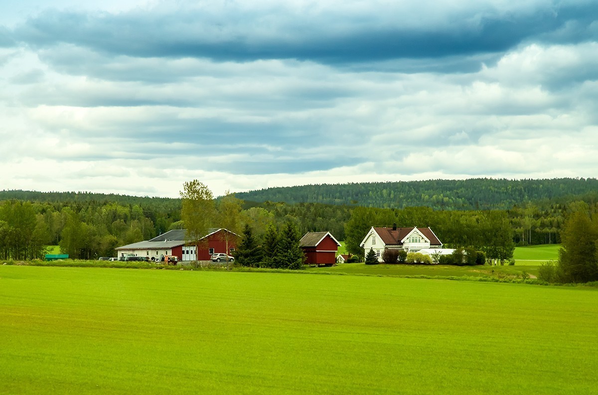 北欧之行人文篇 第四集【挪威首都奥斯陆见闻】