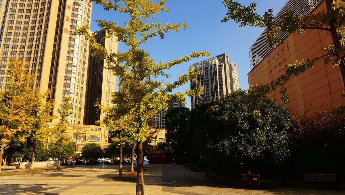 风光美景【4576】