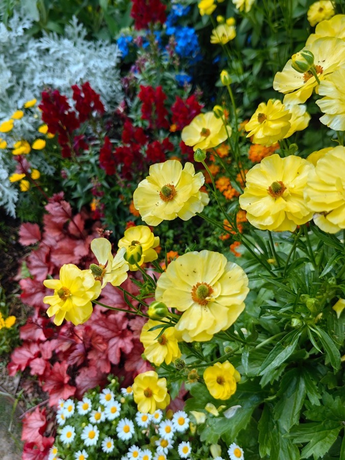花开时节 [2]
