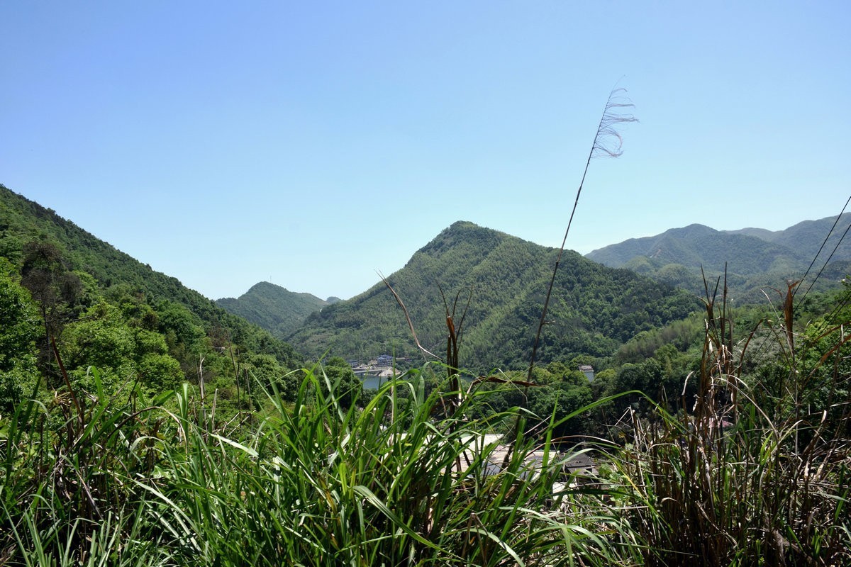 2023春游湘赣边（52）枣木湖湿地【答谢篇】