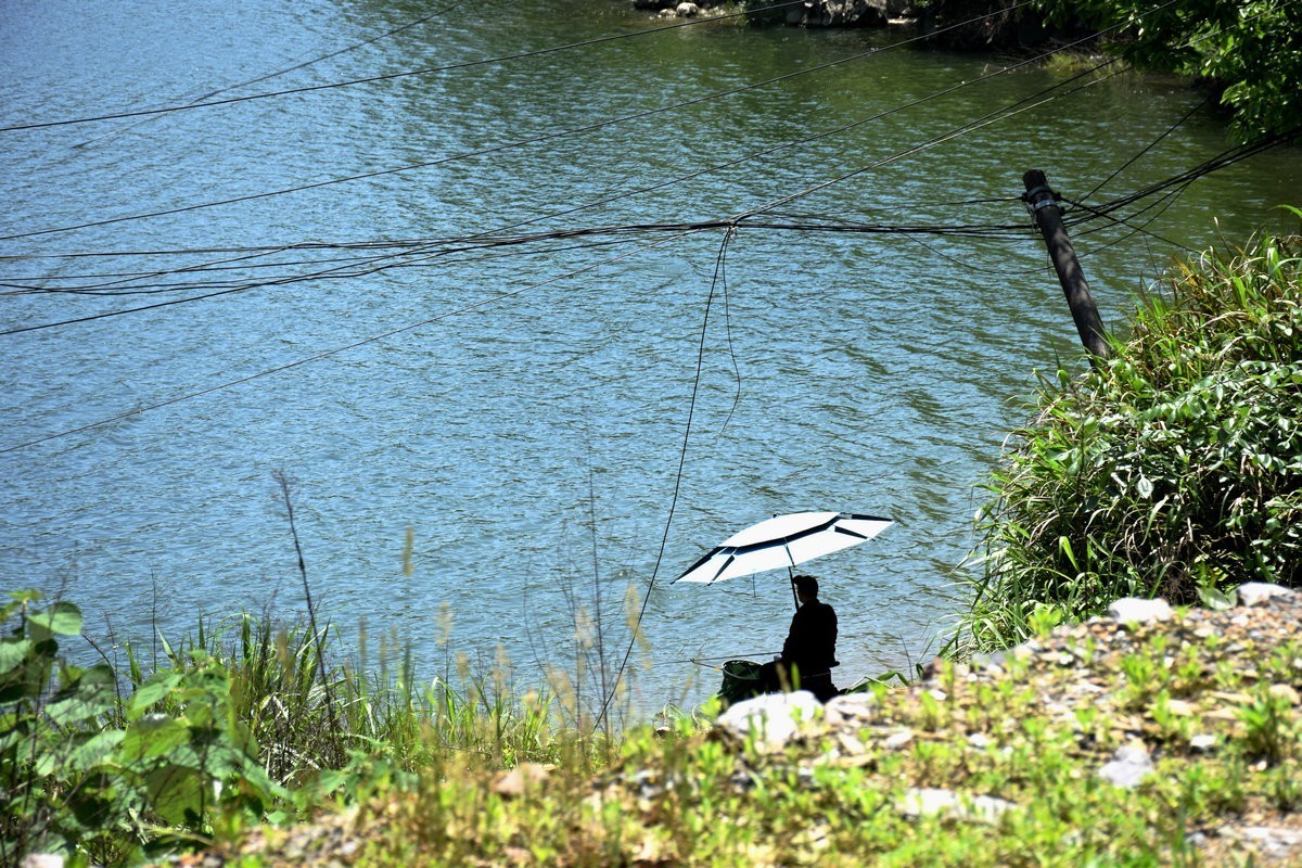 2023春游湘赣边（52）枣木湖湿地【答谢篇】