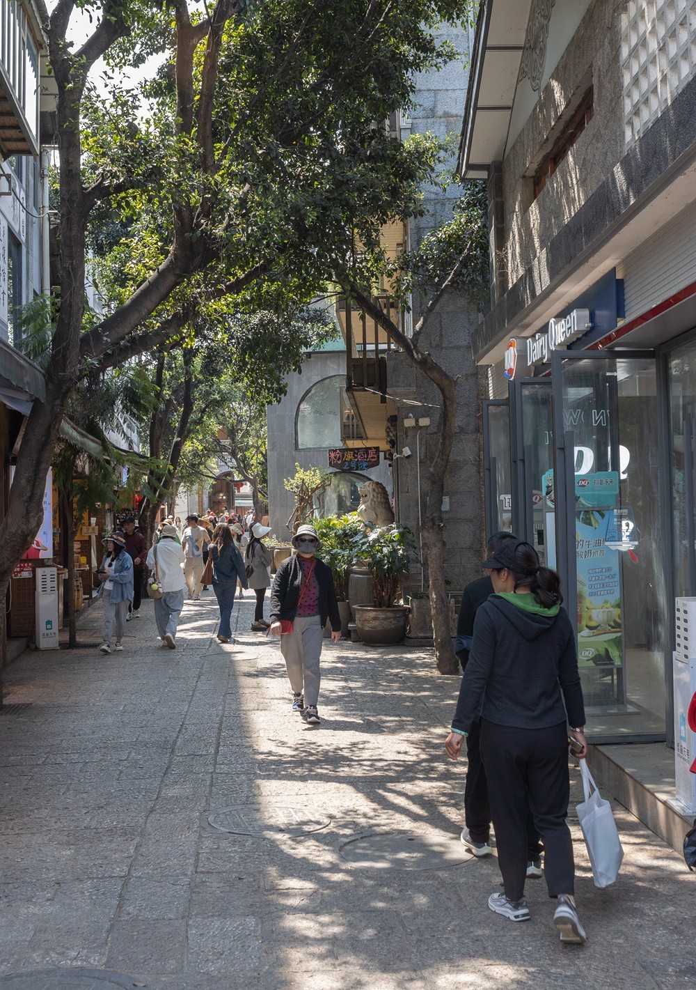 大理洱海---双廊古镇 二