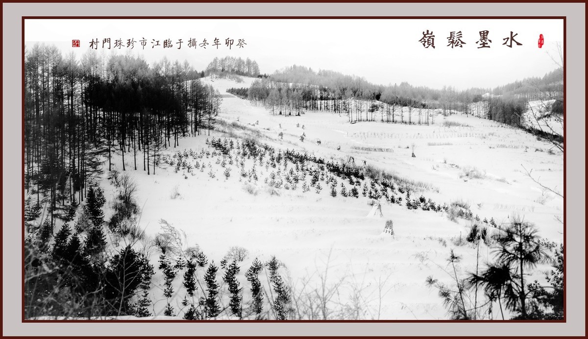 水墨松岭（10）