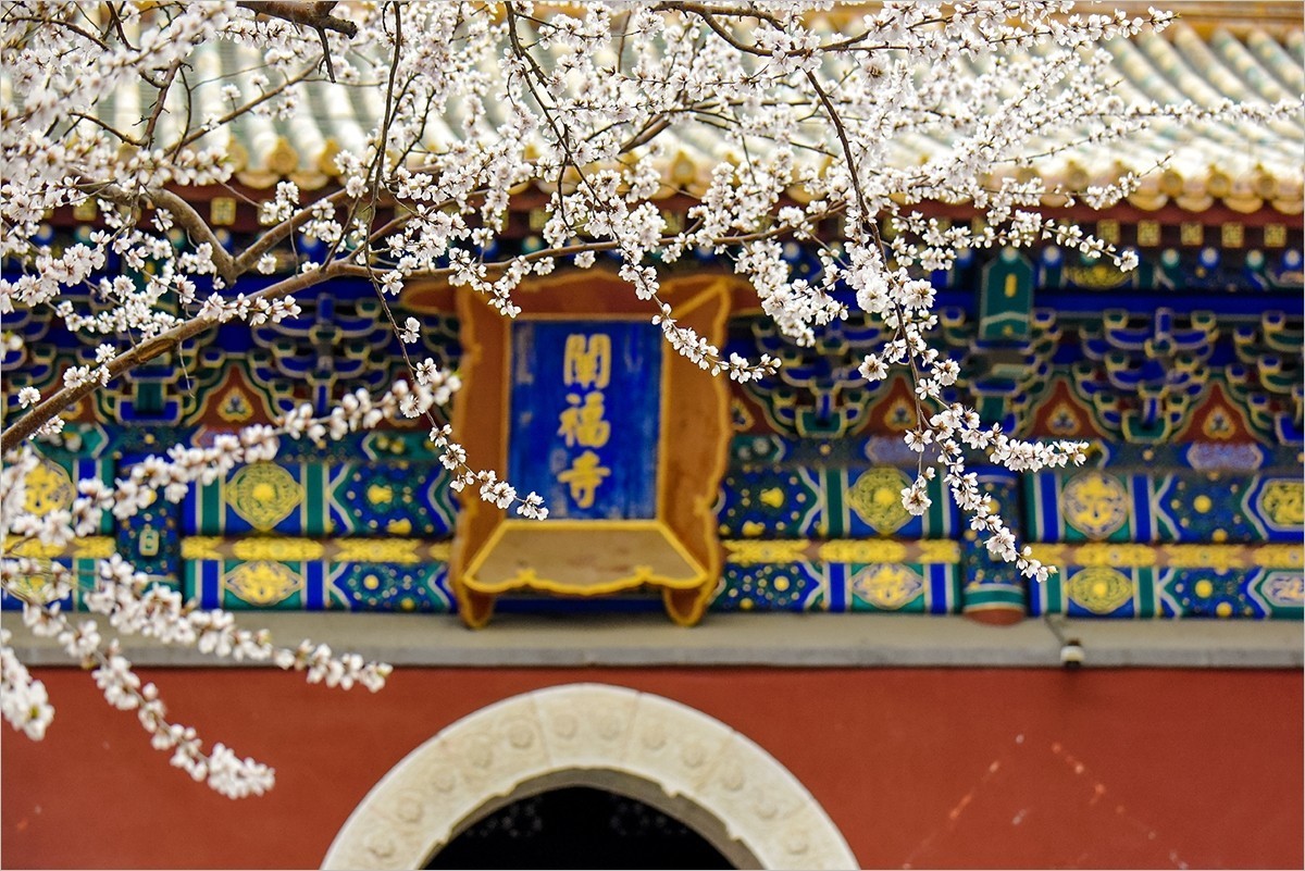 2024年第0655贴-北海公园纪实拍（0830）